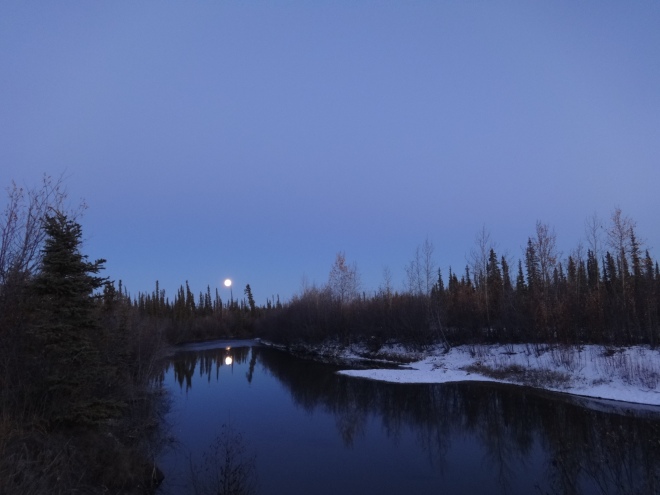 Last night's moon over the slough.